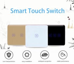 WiFi 240V 2 Gang Tuya Smart Switch With Google Alexa Voice Control