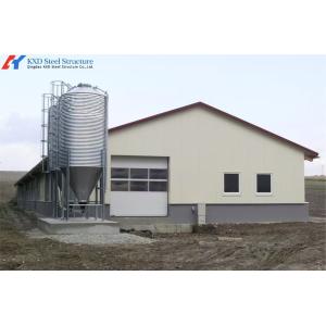 Steel Structure Poultry House with Automated Feeding and Ventilation Systems