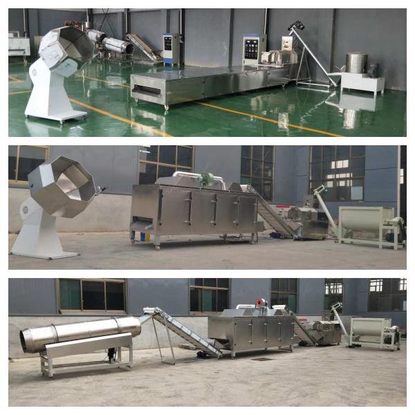 200~500kg/h Twin Screw Dry Pet Food Extruder Dry Type Fish Feed Extruder