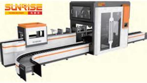 Pick and Place Case Packer