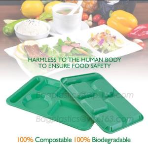 China fast food boxes custom logo printing, Compostable plastic food container, eco-product renewable 100% compostable PLA foo wholesale