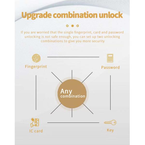 Luxury IP68 Waterproof Digital Lock TTlock APP Password Fingerprint Locks