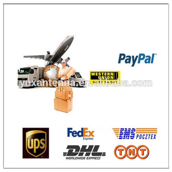 OEM 433/915/868/2.4G 3G 4G GSM Wifi Internal PCB FPC Antenna with IPX UFL Connector