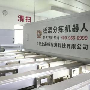China Labor Saving AI Powered Chestnut Sorting Machine: Smart Assistance, Cost Reduction, Efficiency Boost wholesale