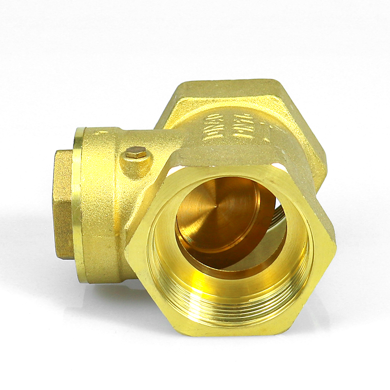 DN25 DN15-DN50 Non Return One Way Check Valve Port Size Customized