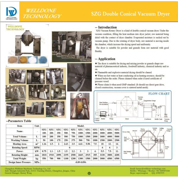 Low Price Continuous Double Cone Rotary Vacuum Dryer