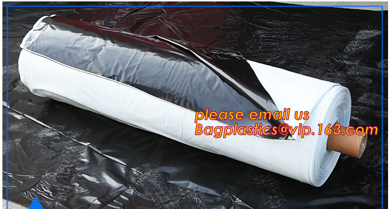 HOTICULTURAL MULCH FILM,AGRICULTURAL PE FILM,MARKET GARDENERS CLOCHE FILM,PE FILM FOR CORN,PLASTIC FILM COVER,TOMATO COV