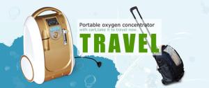 China Whole set mini portable oxygen concentrator,with battery oxygen concentrator wholesale