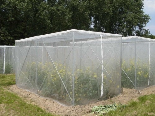 100% HDPE materialanti hail screen mesh 25mesh - 80 mesh UV stabilized insect netting greenhouse insect proof net