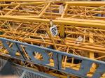 20 Years Zoomlion 6013-6 Tower Crane with GS Certification and Spare Parts
