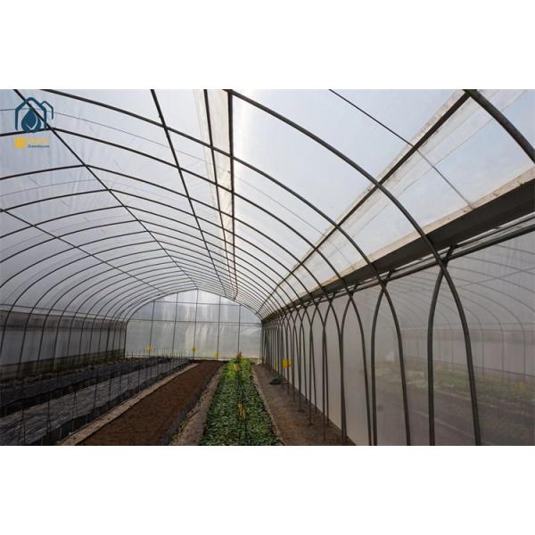 Agriculture Multi Span Poly Tunnel Greenhouse Environment Friendly For Vegetables