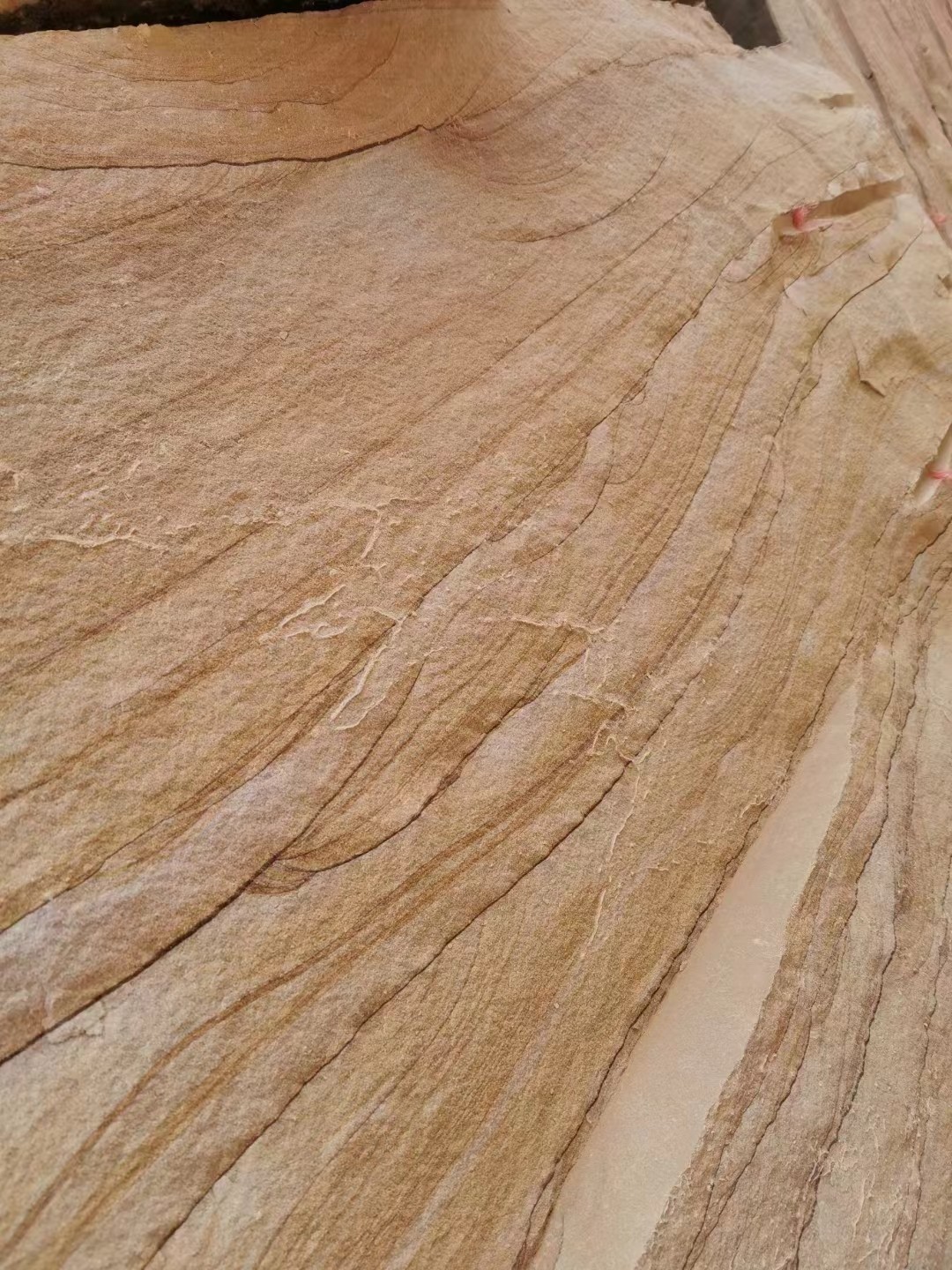 Customized Sandstone Veneer Cladding Building Stone Cladding For Exterior Walls