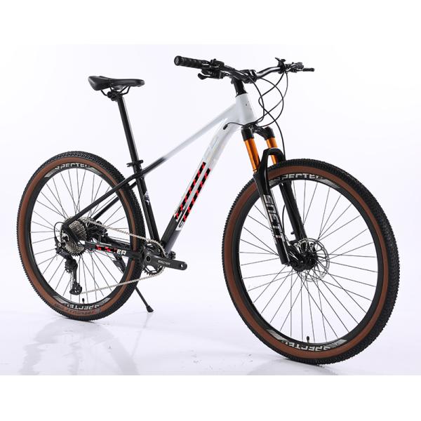 Customized 29 Inch Bicicleta OEM Mountainbike with Shimano Groupset High Load Capacity of 150KG Brown Edge Off-Road Tires