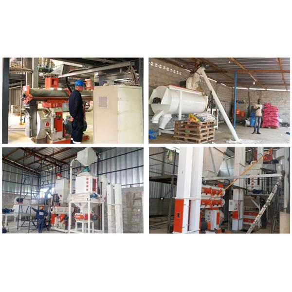 20T/H Animal Feed Making Machine