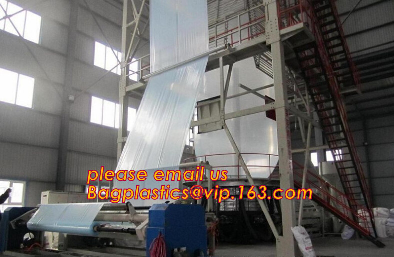 HOTICULTURAL MULCH FILM,AGRICULTURAL PE FILM,MARKET GARDENERS CLOCHE FILM,PE FILM FOR CORN,PLASTIC FILM COVER,TOMATO COV