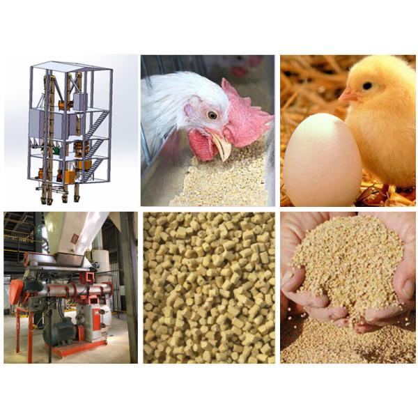 55kw Chicken Feed Production Line Animal Feed Manufacturing Machine