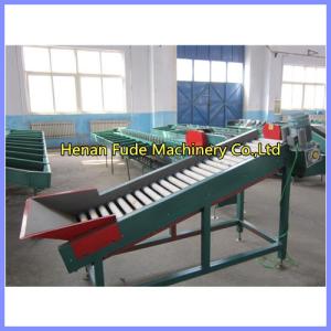 Apple grading machine, dragon fruit grading machine,nion sorting machine, tomato grading machine