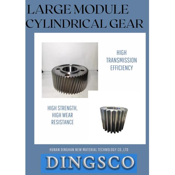 Module 0.5-20 Precision Cylindrical Helical Spur Gear With Long Diameter For Industrial Transmission