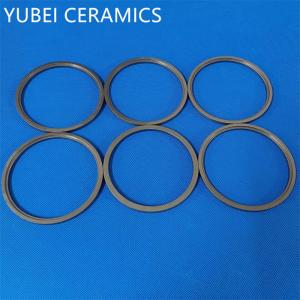 YUBEI Silicon Carbide Seal Rings SSiC Pumping Ring Mechanical Seal