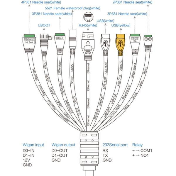 CE FCC ROHS Smart Face Recognition Temperature Device IPS HD Screen