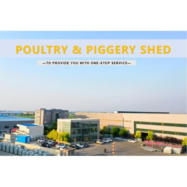 Automatic Equipment Chicken Layer Cages Hot Dip Galvanized Steel Material