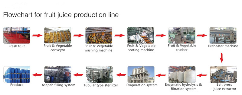 High Performance Fruit Processing Line Juice Production Machine Esay Use