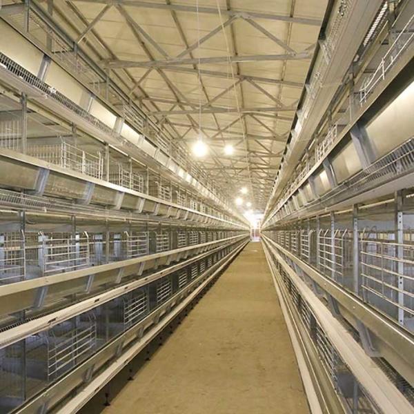 Quality Automatic Layer Poultry Farming Equipment Battery Chicken Egg Layer Cage System for sale