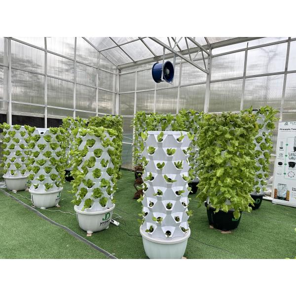 10x30m Side Ventilation Single Span Tunnel Agricultural PC Greenhouse with