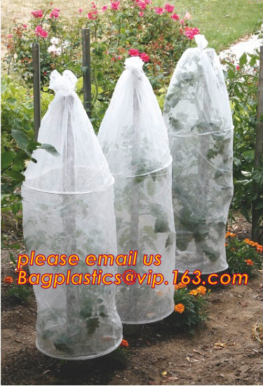 HOTICULTURAL MULCH FILM,AGRICULTURAL PE FILM,MARKET GARDENERS CLOCHE FILM,PE FILM FOR CORN,PLASTIC FILM COVER,TOMATO COV