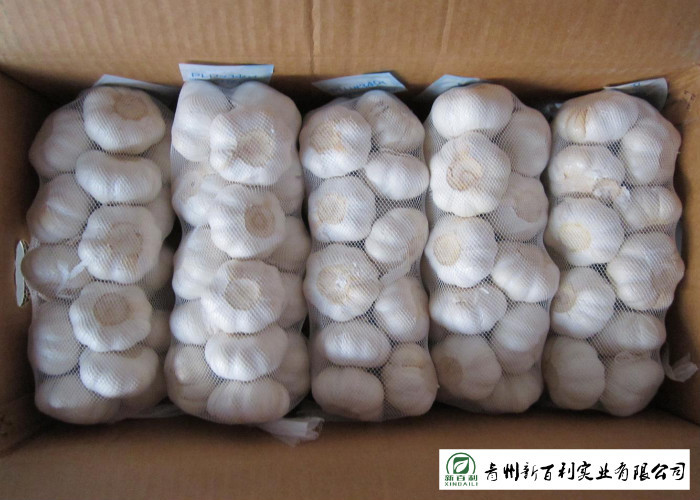 Wholesale Fresh Organic Garlic , New Crop Fresh White Garlic SGS Certification