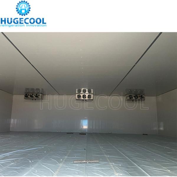 Cold Storage Room for Frozen Fish and Seafood