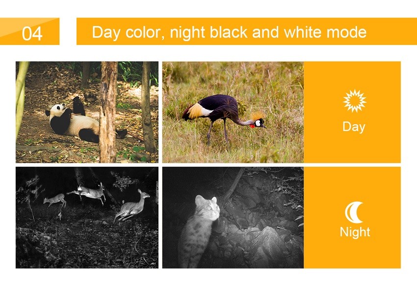 128gb 0.4s Motion Activated Night Vision Camera Wildlife Low Glow Game Cam