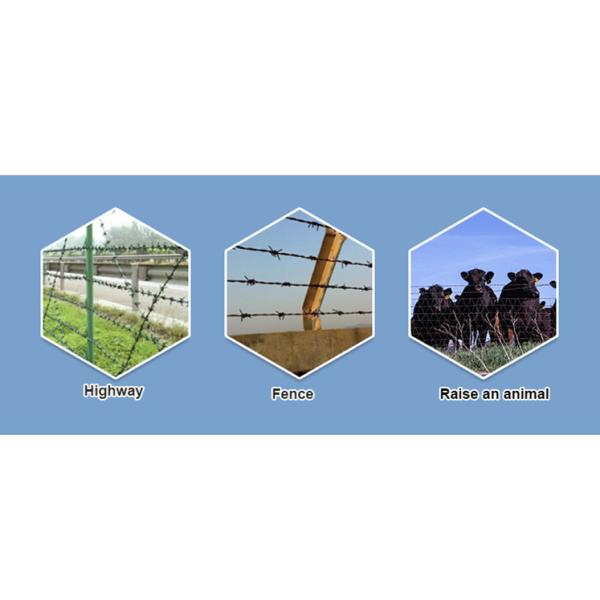 CE Certificate Barbed Wire Security Fence , Hot Dipped Galvanized Razor Wire