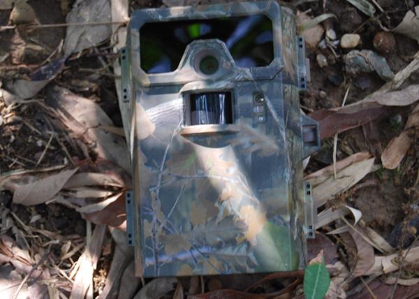 Quality Outdoor Motion Activated Game Camera Wireless Scouting With Bluetooth for sale