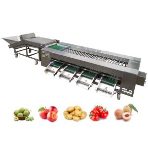 China SUS304 Citrus Roller Sorting Machine For Fruits And Vegetables Processing Line wholesale