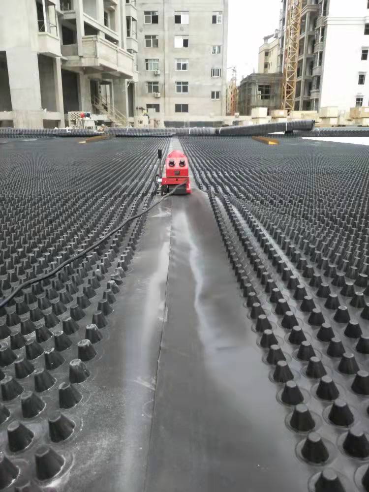 HDPE Plastic Drainage Board for Upper and Lower Floors of Landfill Artificial Lakes
