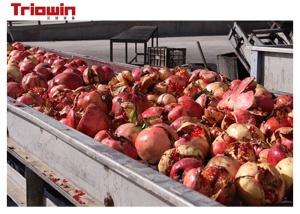 China juice concentrate Passion Fruit Beverage Processing Line Passion fruit juice production line on sale