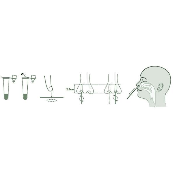 Green Spring COVID-19 Rapid Test Kit & Antigen Swab Test Kit 25 Tests/Kit