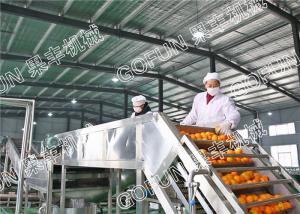China HPP Citrus Processing Line / 440V Lemon Processing Plant Easy Operation wholesale