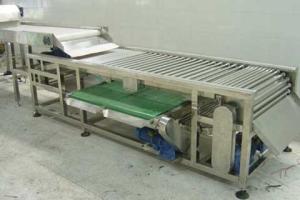 Full automatic food grader machine