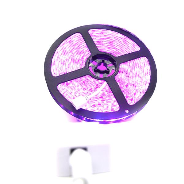 Wifi APP Control Smart Alexa Bluetooth LED Strip No Hub Requierd With Alexa And Google Home