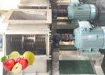 Multiple Use Apple Processing Line High Processing Capacity Easy Operation