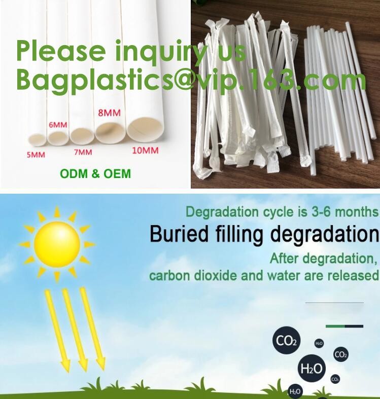 Eco friendly EN13432 Ok home compost certified 100% biodegradable compostable plastic T-shirt vest bag for shopping