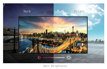 50/60Hz Input Voltage 43inch Window Facing LCD Display with Ultra-Thin Design