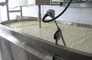 China 50KW SUS304 Cheese Making Machine 1500L / 2000L With Temperature Control System wholesale