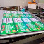Two Color Offset Tinplate Printing Machine PLC Control With Coating Line