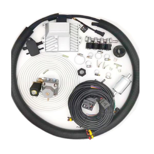 Quality Mini CNG LPG Conversion Kits For 4 Cylinder Gasoline Direct Injection Car Engine for sale