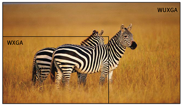 Native 1920*1200 DLP Laser Large Venue Projector 11000 ANSI Lumens