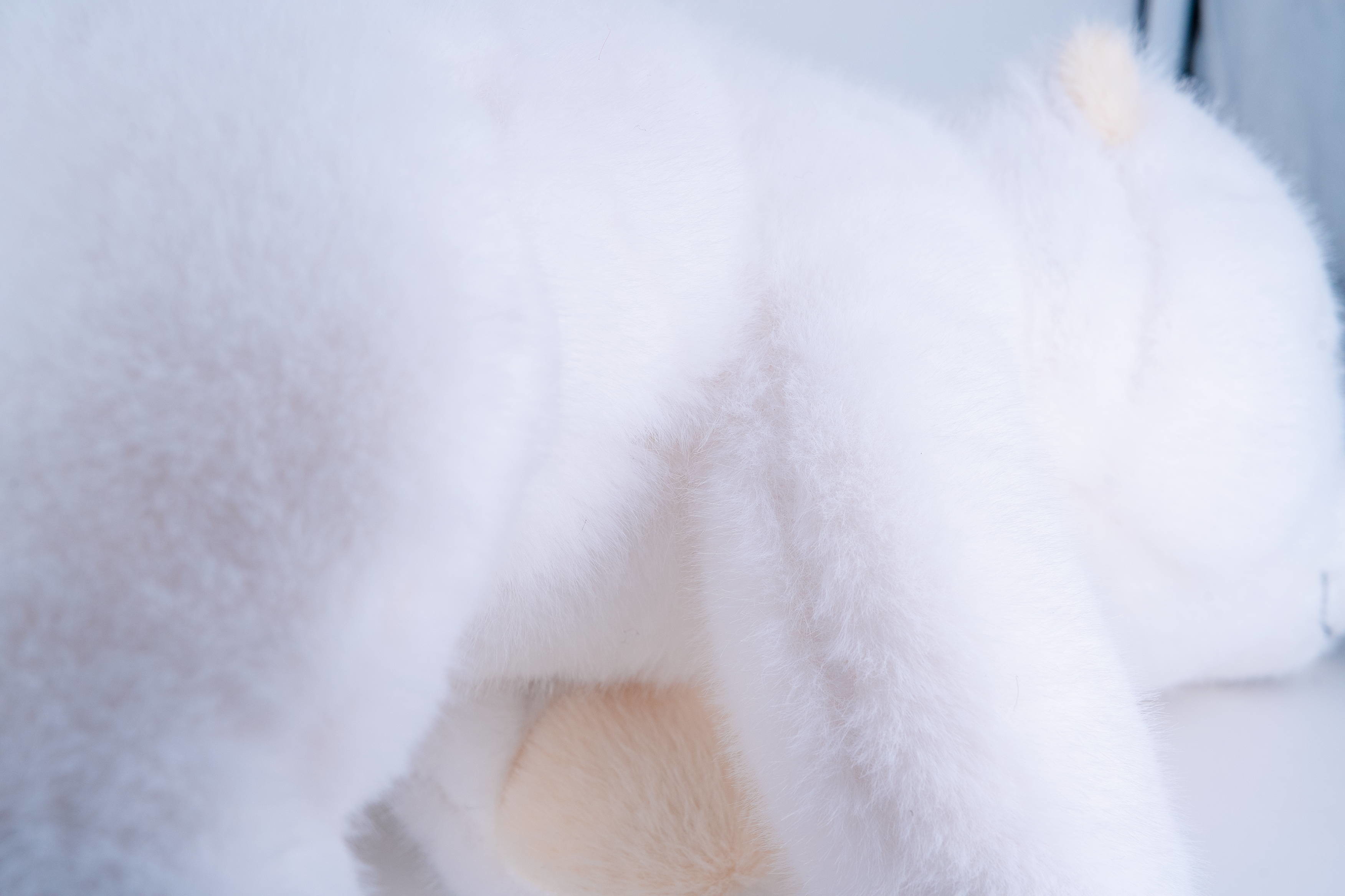Eco Friendly Polar White Bear Plush Toy Multiple Sizes Safe And Soft