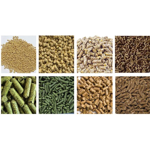 Cattle Sheep Poultry Feed Processing Plant 6 MM 8 MM Diameter 500 Kg/H